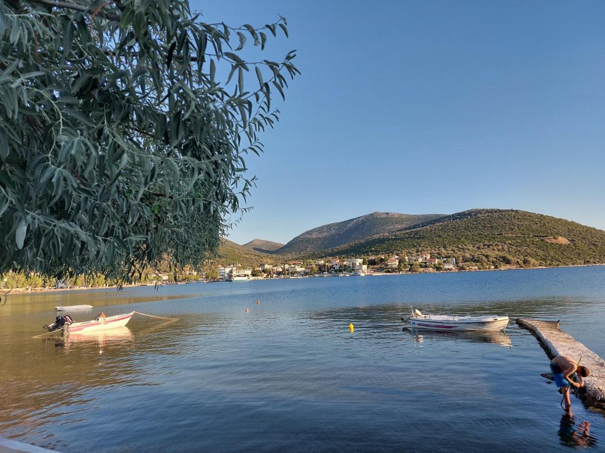 Vitamin Sea Studio Panagia  Kültér fotó