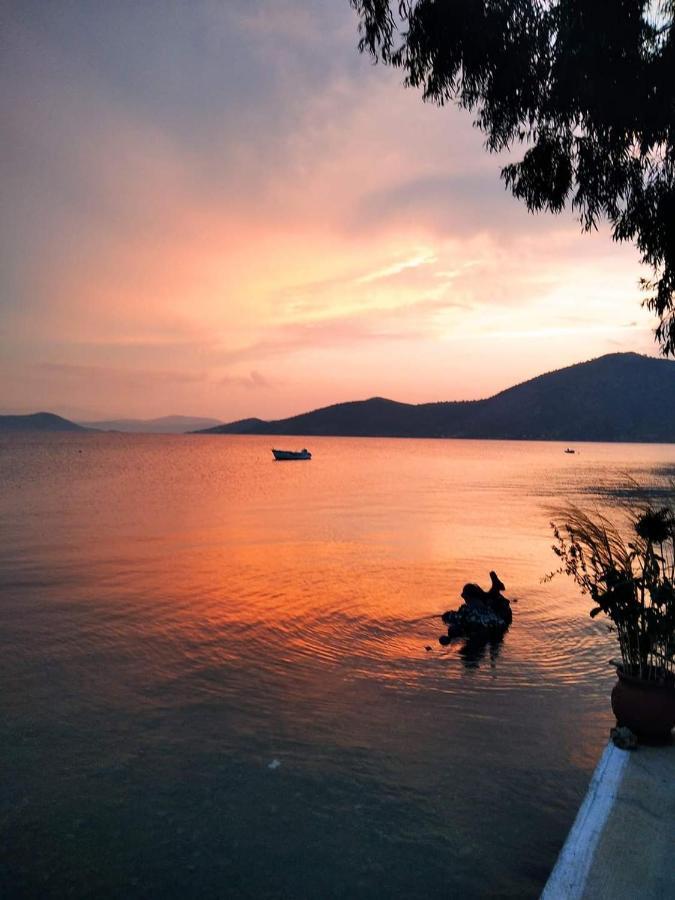 Vitamin Sea Studio Panagia  Kültér fotó
