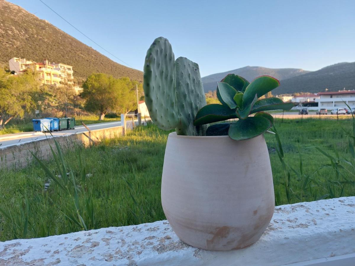 Vitamin Sea Studio Panagia  Kültér fotó